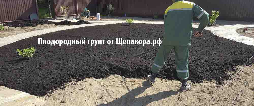 лучший грунт для дачи